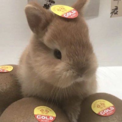 potatoomo7's profile picture. 잡다계