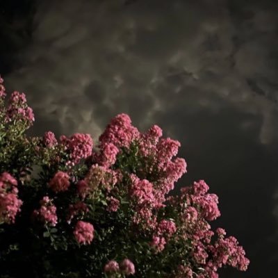 Rrriii44's profile picture. 