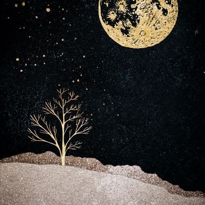 A7madMos96's profile picture. 