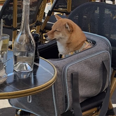 ziggggys's profile picture. clicking buttons online