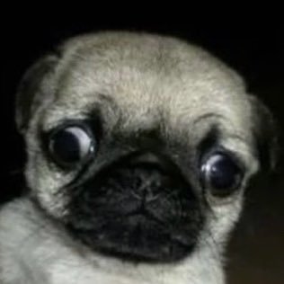 1UNVXR4's profile picture. 