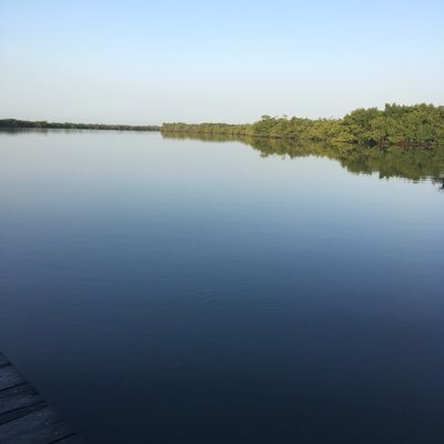 cisko_issa's profile picture. In silence and in effort, Lies the key to every treasure. 0xec8adbd5fc4a9d502f05739624d56d79550683d9