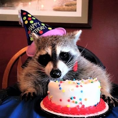 peljswife's profile picture. Christian, Married. No immediate DM's please,  after following.