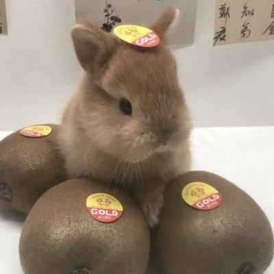 tndus700529's profile picture. 