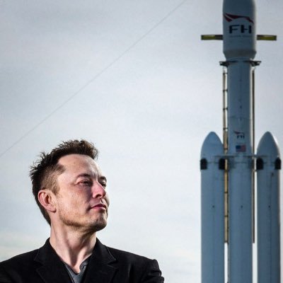 elonremusk341's profile picture. 