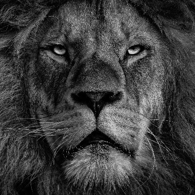 _o3o_o7o_'s profile picture. 