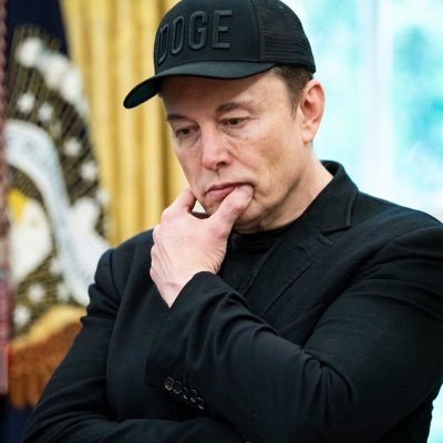 Musk596632's profile picture. 