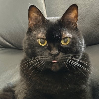 kisakisa_pia's profile picture. パンと山