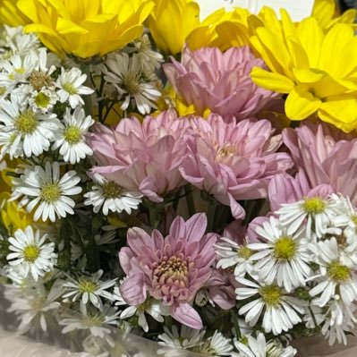 firuwracrumbs's profile picture. this account is solely for roblox only