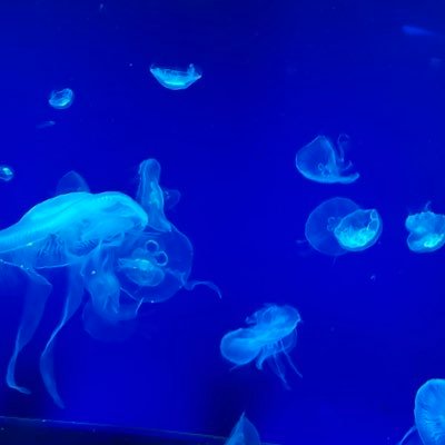 Emily_gloomy's profile picture. すきなものとすきなひとをみる。みんなだいすき。