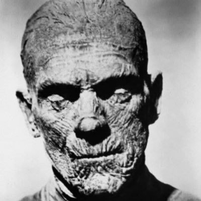 StevenAdams2's profile picture. PUFC, Book Junkie, pop culture fan, NY Giants, NYY