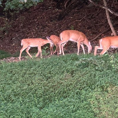 fartbuttmcpoop's profile picture. twitter hater