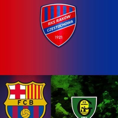 wikison43's profile picture. kibic RKS Raków Częstochowa ❤️💙 i FC Barcelona 💙❤️
pierdolę Legię, Lech, Widzew i Radomiak 
pierdole głupoty o skokach na TT 
Cwel