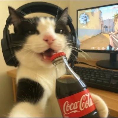 _notfoundfie's profile picture. 