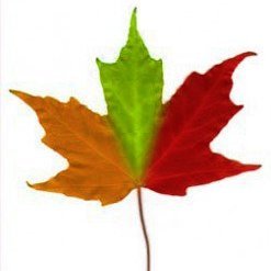 GreggWmHill's profile picture. Meliorist, mainly appalled but fascinated observer of US politics.