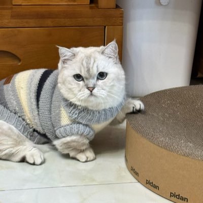 xingyu637740d's profile picture. 