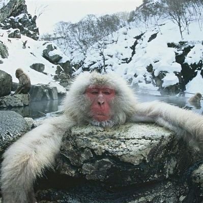 lutom1a's profile picture. 