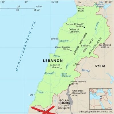 SamOnT12's profile picture. ..