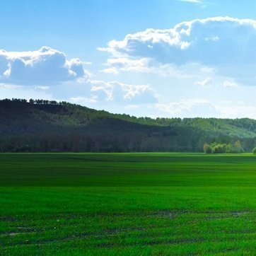 John55139's profile picture. 