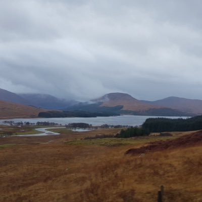 NikolasGower's profile picture. 