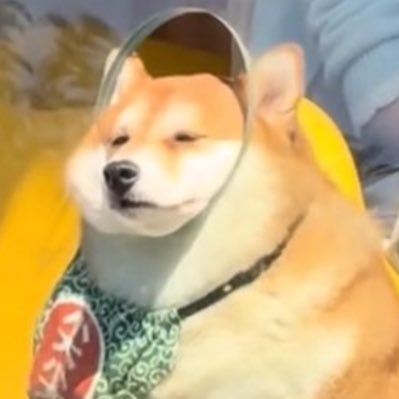 rubylunnyten's profile picture. 💚💜🩷💙 จั๊นจะเปงหมุที่แข้งแรง