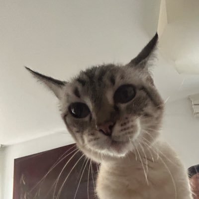 edumal52's profile picture. Médico en potencia(o eso se comenta por ahí)