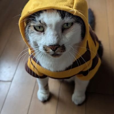 marimoRito1515's profile picture. アカウント乗っ取られて新たに行っていますみなさまよろしくね
趣味はよさこい応援。ガーデニング。手芸。釣り