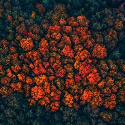 RanMo97's profile picture. في حالي