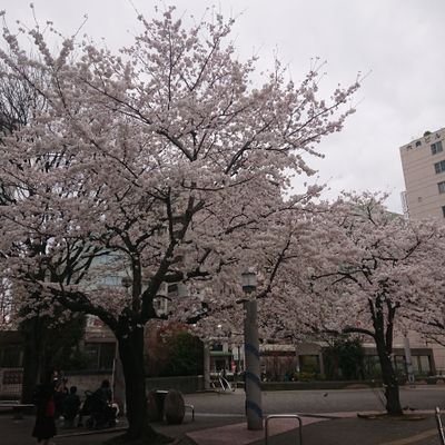 umdbr83479138's profile picture. 株の初心者です。指導を希望します。