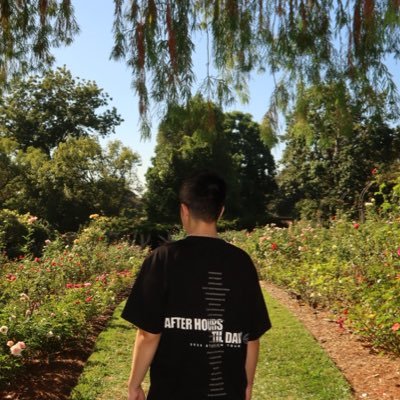 dojaboi_'s profile picture. 19 |🇲🇽| do you want the house tour?