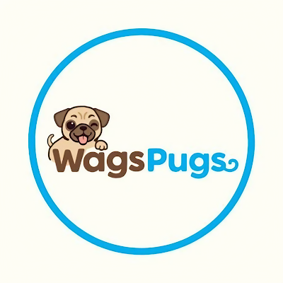 wagspugs's profile picture. Welcome to Wagspugs! 🎉 We offer a curated collection of t-shirts, mugs, hoodies, and wall art for dog enthusiasts. Find the perfect gift for yourself or a fell