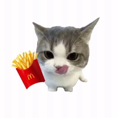 cc_hajimi's profile picture. all money comes to me