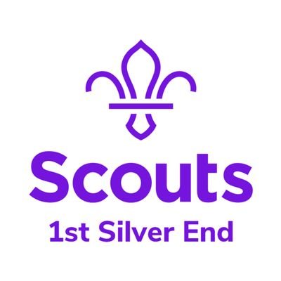 silverendscouts's profile picture. 