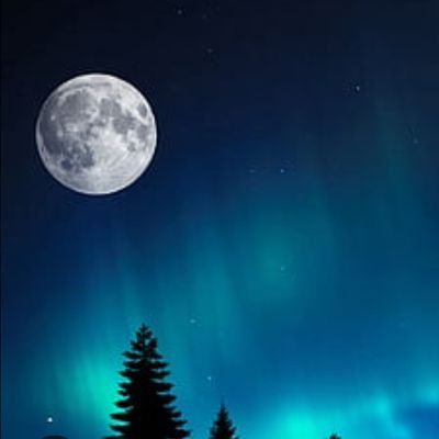 MoonlightNexira's profile picture. 
