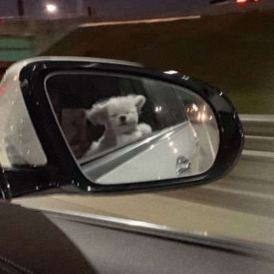 1yoolii_'s profile picture. 