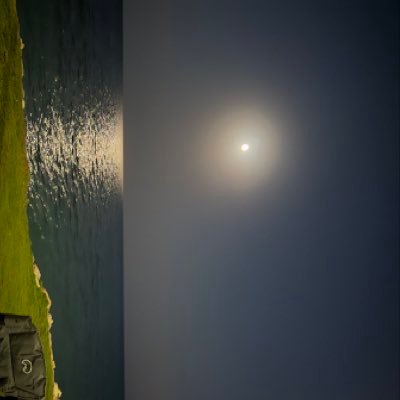 zu6rm's profile picture. 