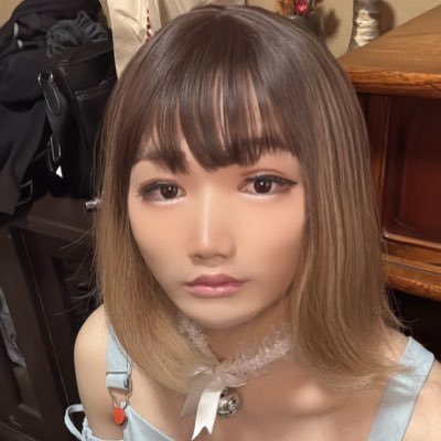 shimashima_ro's profile picture. 