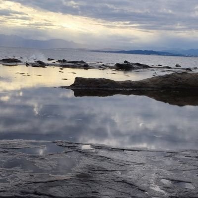 39raya_humfan's profile picture. UEC25　一類 1クラ　x680x0/筋トレサークル/Freedom
趣味　SASUKE、ゲーム、ファイターズ、にじさんじJP＆EN＆KR、任天堂、soul'd out、DUSTCELL 
お菓子作り➕食べること