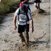 David (@davetheframe) 's Twitter Profile