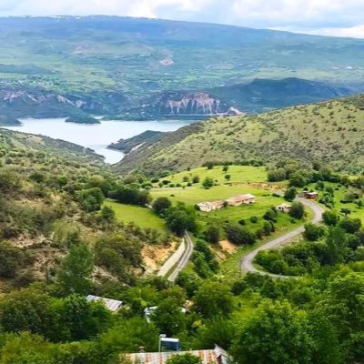 ferzankigili's profile picture. 