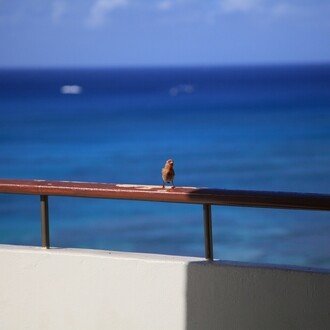 cVdIeAD5Ao35371's profile picture. 書き続けてきたblog、撮り続けたphoto、残しておきたい大切な想い出をnoteに保存します。
綴った文章はただの日記、写真はその時を切り抜いてポケットにしまってあったもの、すべては自分が生きてきた証として記してみます。