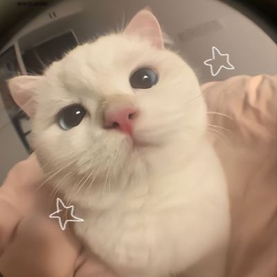 DuncanR60347719's profile picture. 