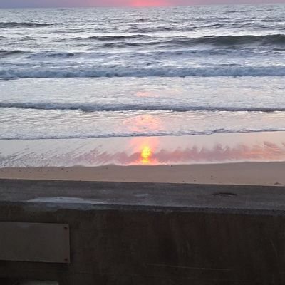 martinecharb's profile picture. Vivement la gauche radicale au pouvoir pour la justice sociale et fiscale et la paix dans le monde