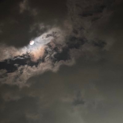 matuaki_116's profile picture. ※悪質性があるエロ垢や不審垢など疑われるアカウントのみブロックします。@kokosuke11_6 ←サブ #京成 #四直 #新京成 #フォートナイト #Fortnite #ロブ鉄 #尾羽急