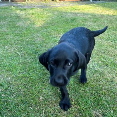 JP74495301's profile picture. I just want a quiet life