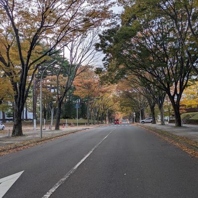 gokaroudesu's profile picture. 東北の地で放射線を測ってます。博士号取得を目指しています。
