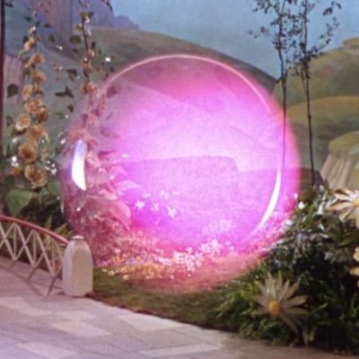 ThePredictooor's profile picture. on the hunt for the big one.