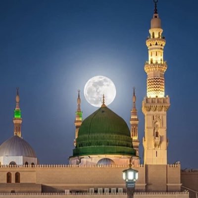 khdkhd661's profile picture. 