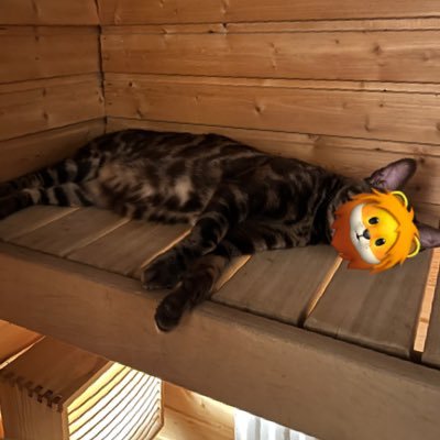 simahuuli's profile picture. Every morning you have two choices: continue to sleep with your dreams or wake up and build GDPR compliant startups