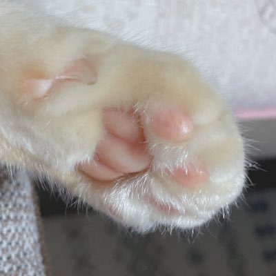 rito_mokumoku's profile picture. ねこの肉球 久しぶりの有休 私は号泣 行くぞ富士急 お金なくて困窮 読んでくれてセンキュー